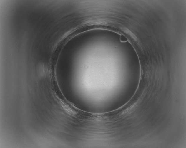 X0000074030922200608211448