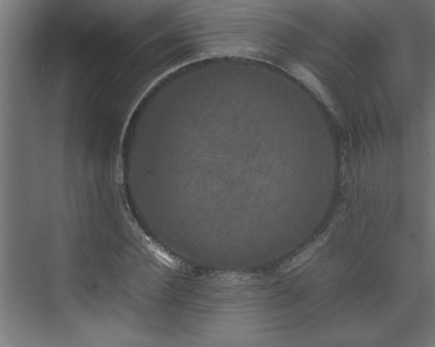 X0000074030924200608211448