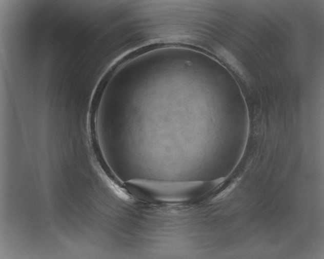 X0000074030932200608211448