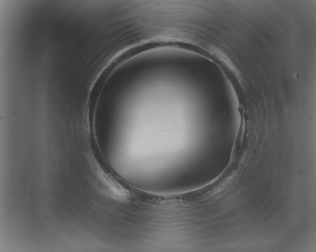 X0000074030934200608211449