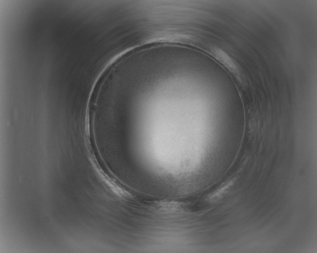 X0000074030940200608211449