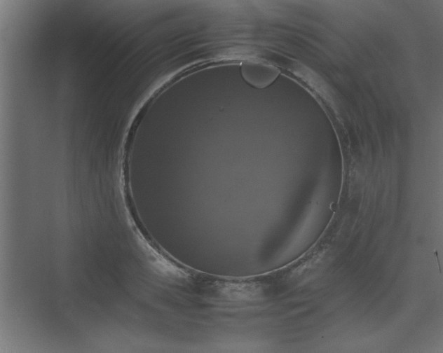 X0000074030941200608211449