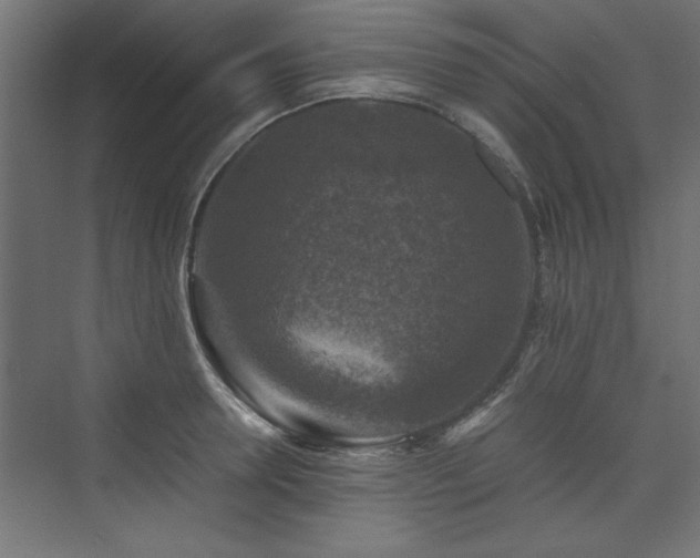 X0000074030946200608211449