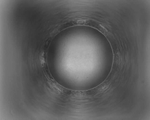 X0000074030962200608211448