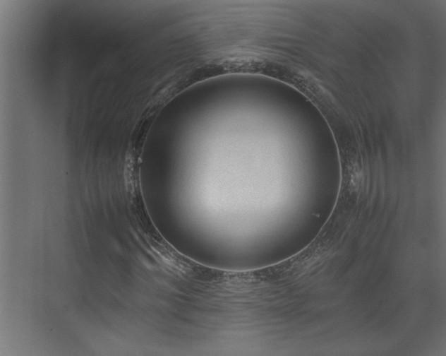 X0000074030964200608211448