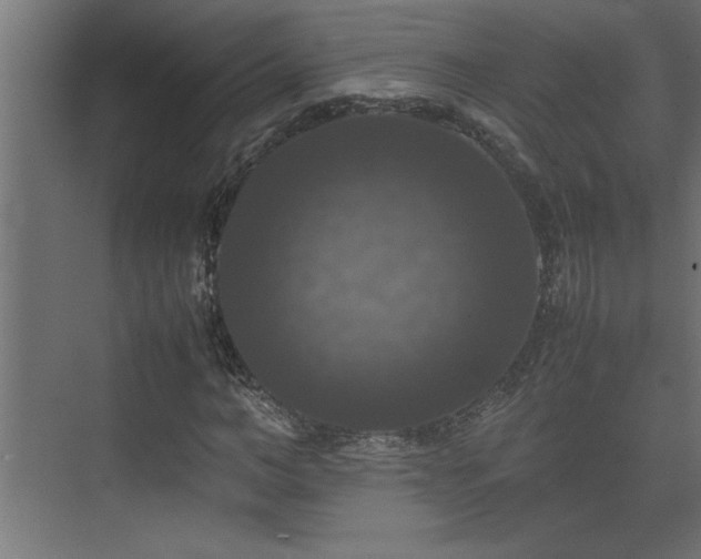 X0000074030966200608211448
