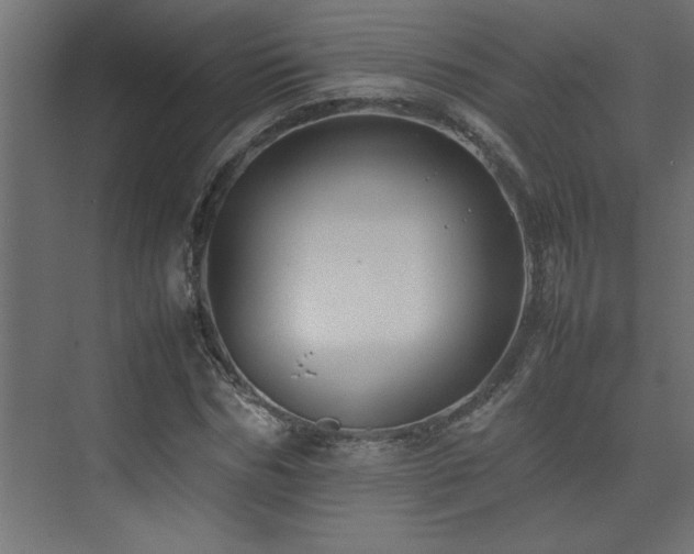 X0000074030970200608211448