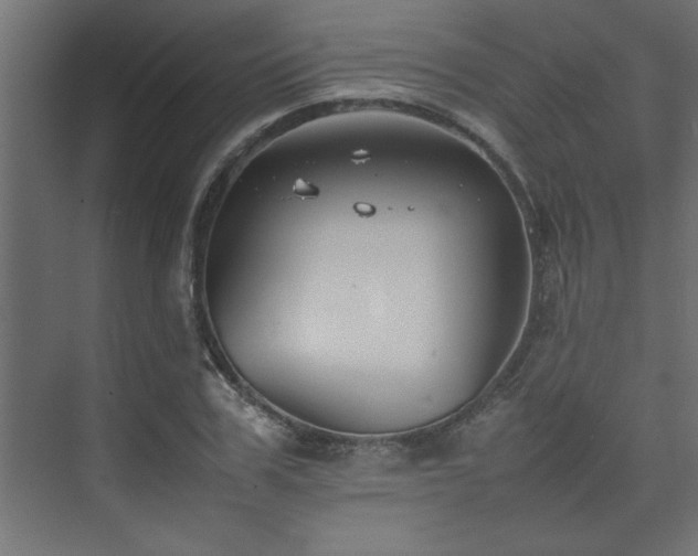 X0000074030979200608211448