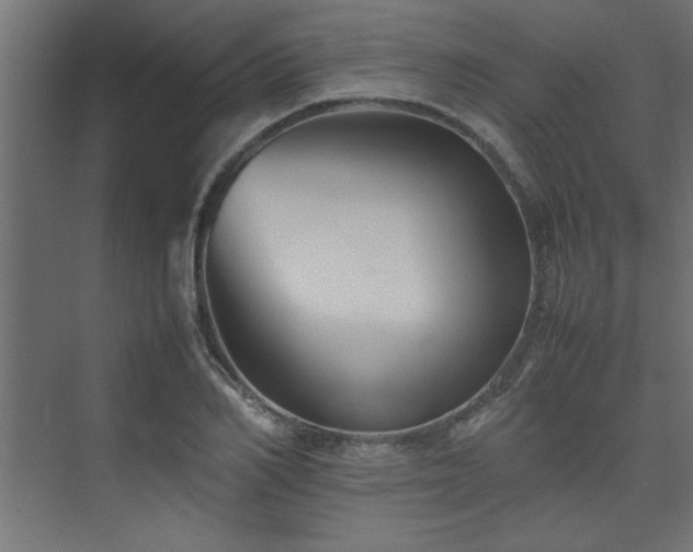 X0000074030982200608211448