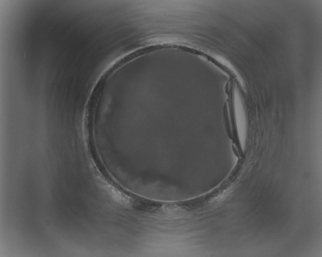 X0000074030983200608211448