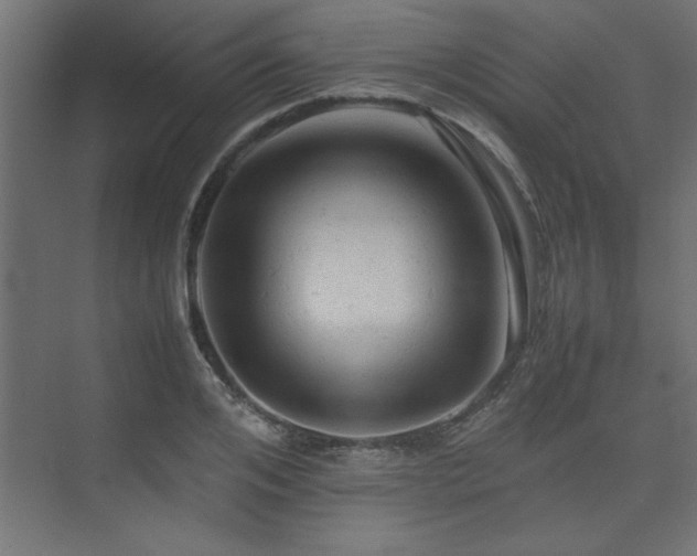 X0000074030984200608211448