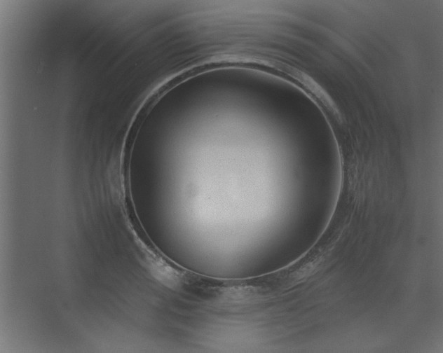 X0000074030988200608211448