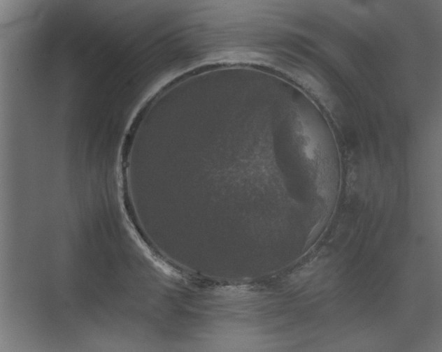 X0000074030990200608211448