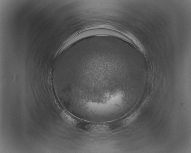 X0000074031001200608211447