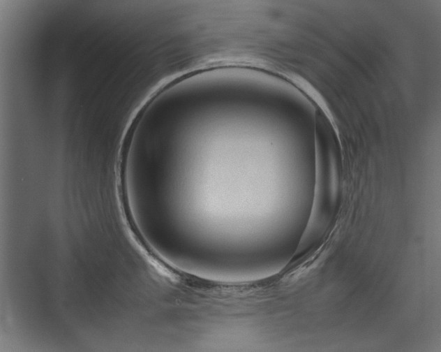 X0000074031005200608211447