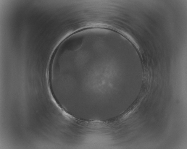X0000074031007200608211447