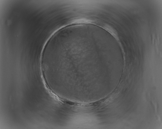 X0000074031008200608211447