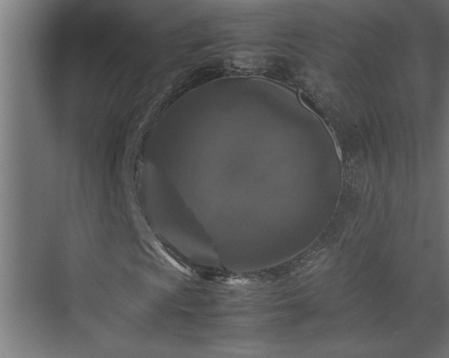 X0000074031009200608211447