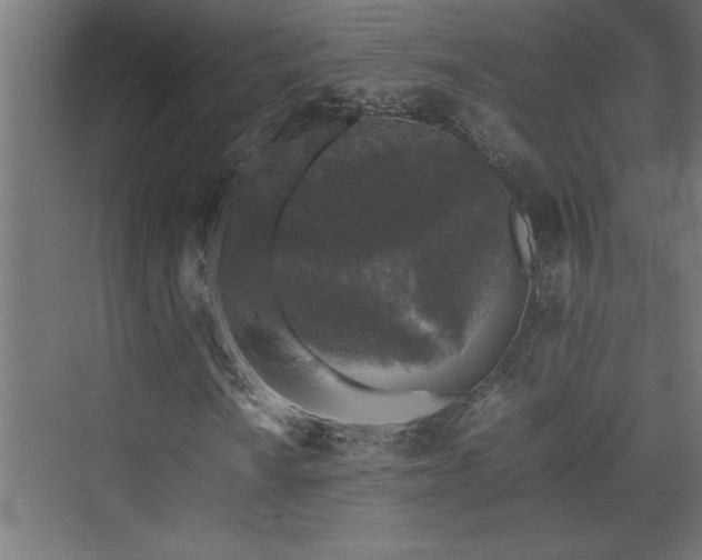 X0000074031010200608211447