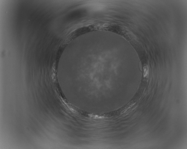 X0000074031011200608211447