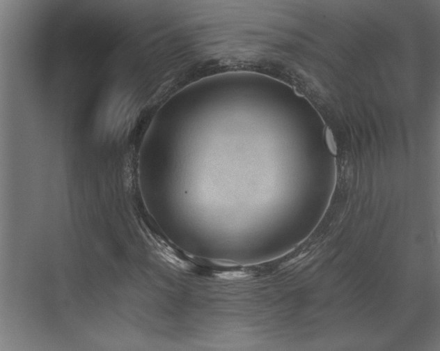 X0000074031012200608211447