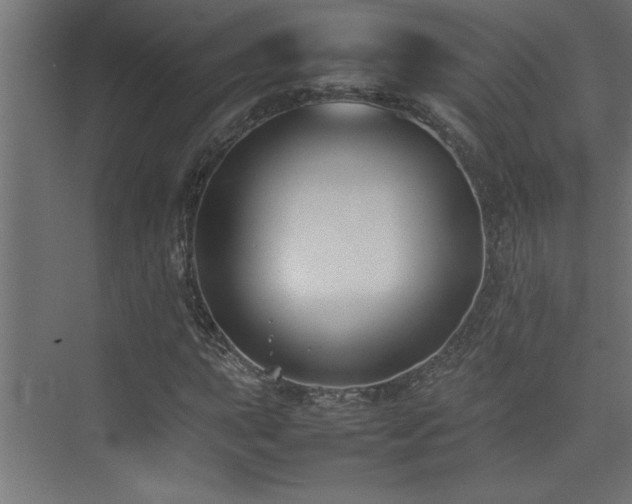 X0000074031015200608211447