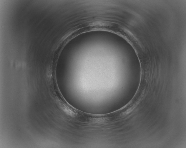 X0000074031017200608211447