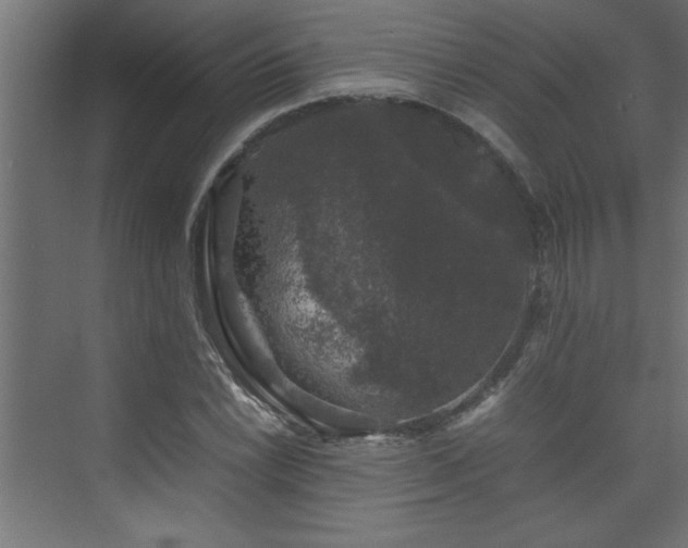 X0000074031022200608211447