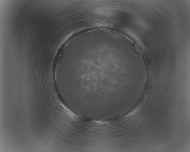 X0000074031023200608211447