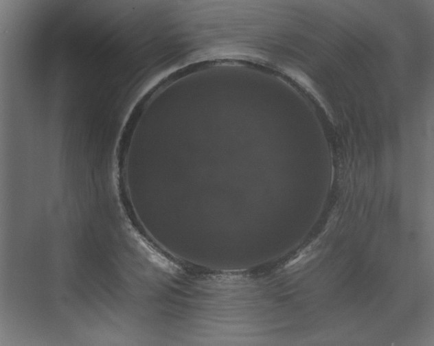 X0000074031024200608211447