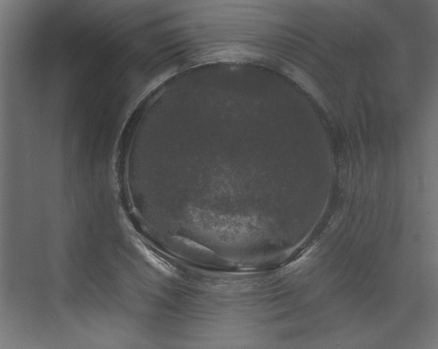 X0000074031026200608211447