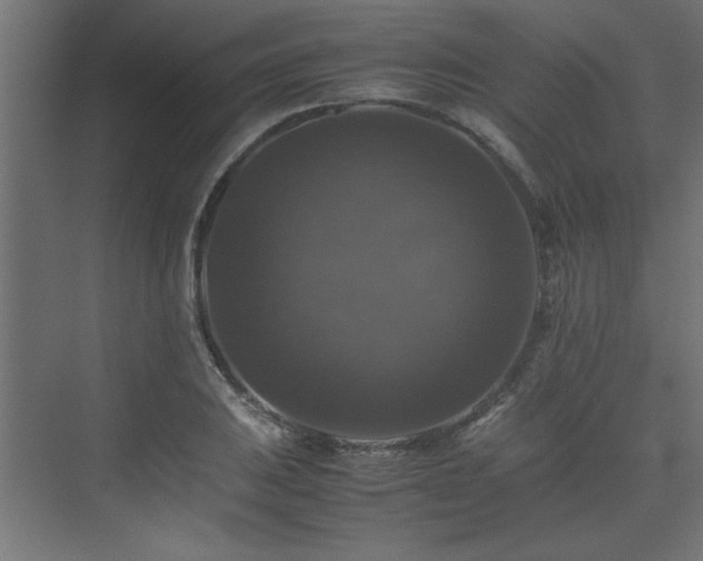 X0000074031031200608211447
