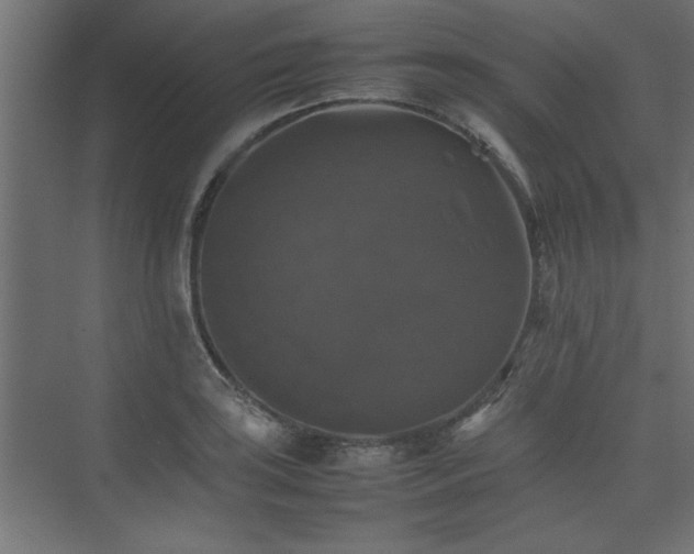 X0000074031035200608211447