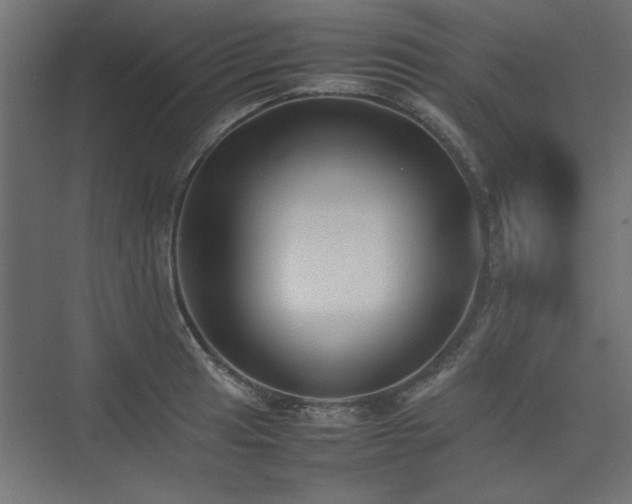 X0000074031041200608211447