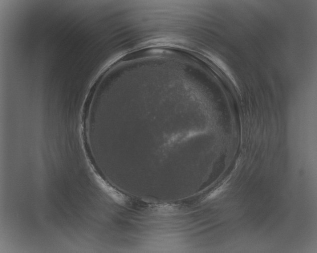 X0000074031042200608211447