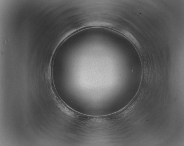 X0000074031044200608211447