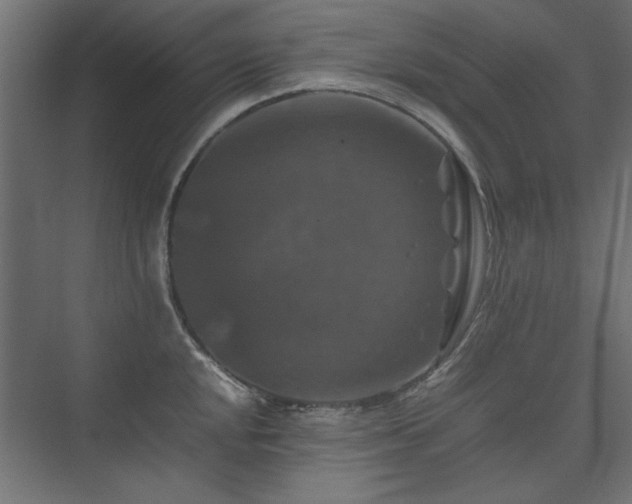 X0000074031048200608211447