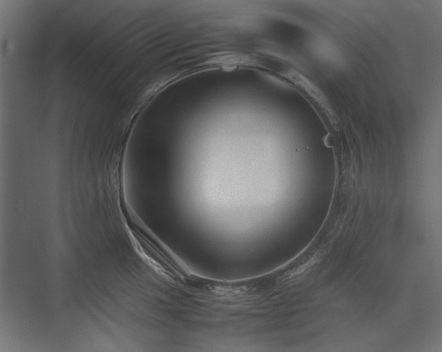 X0000074031049200608211447