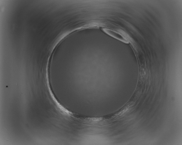 X0000074031055200608211447