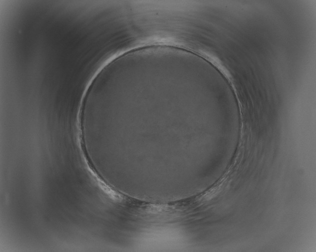 X0000074031056200608211447