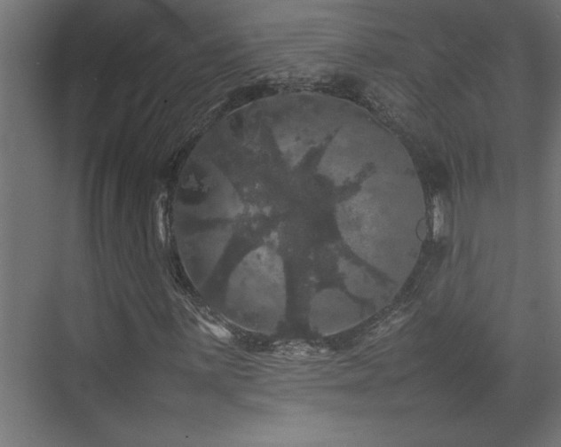 X0000074031059200608211446
