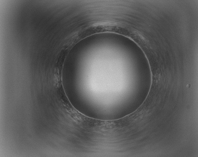 X0000074031062200608211446