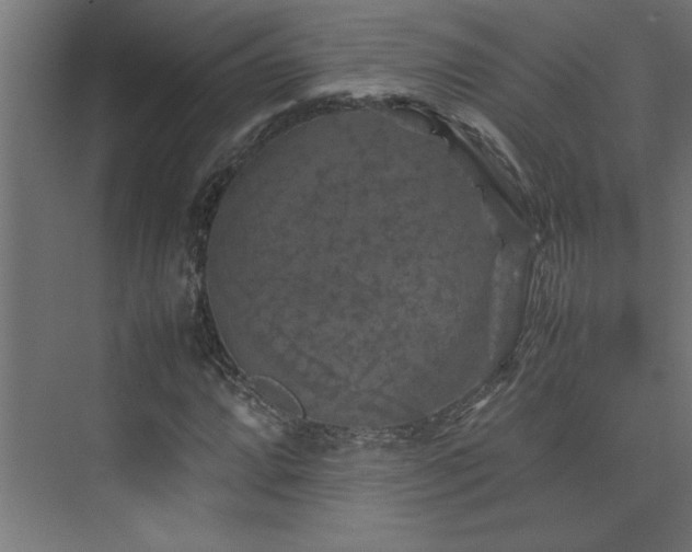 X0000074031064200608211446