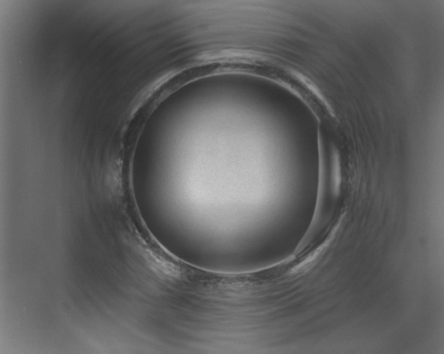 X0000074031066200608211446