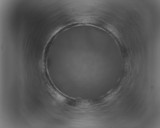 X0000074031071200608211446