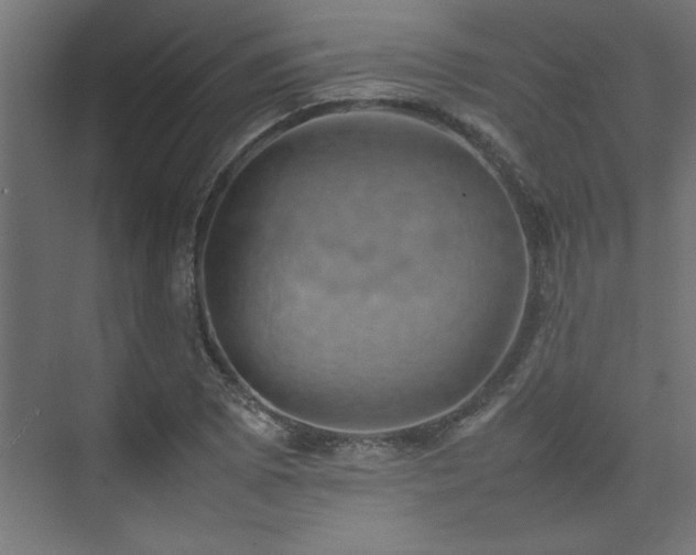 X0000074031073200608211446