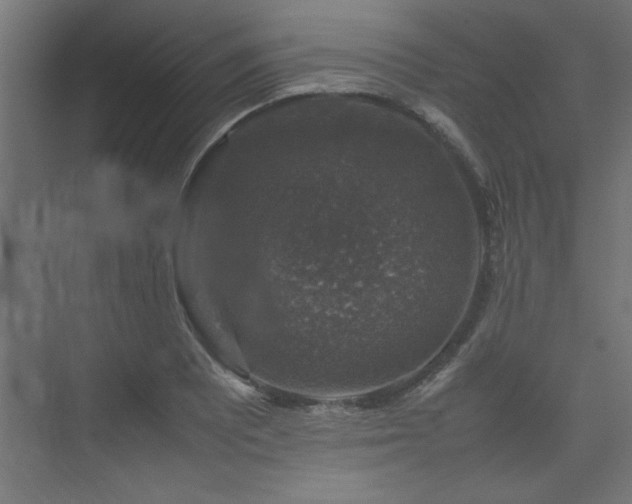 X0000074031081200608211446