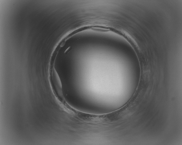 X0000074031085200608211446