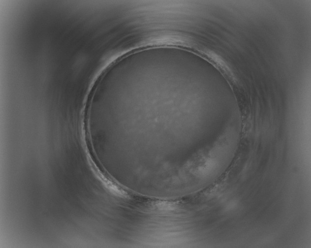 X0000074031086200608211446