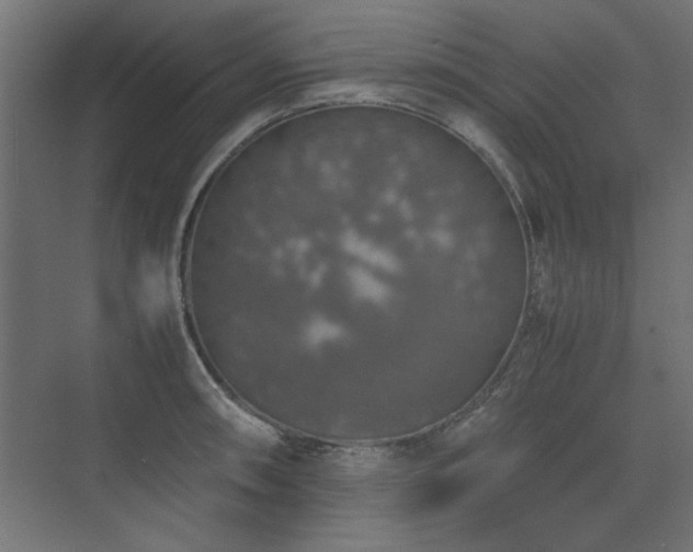 X0000074031090200608211446